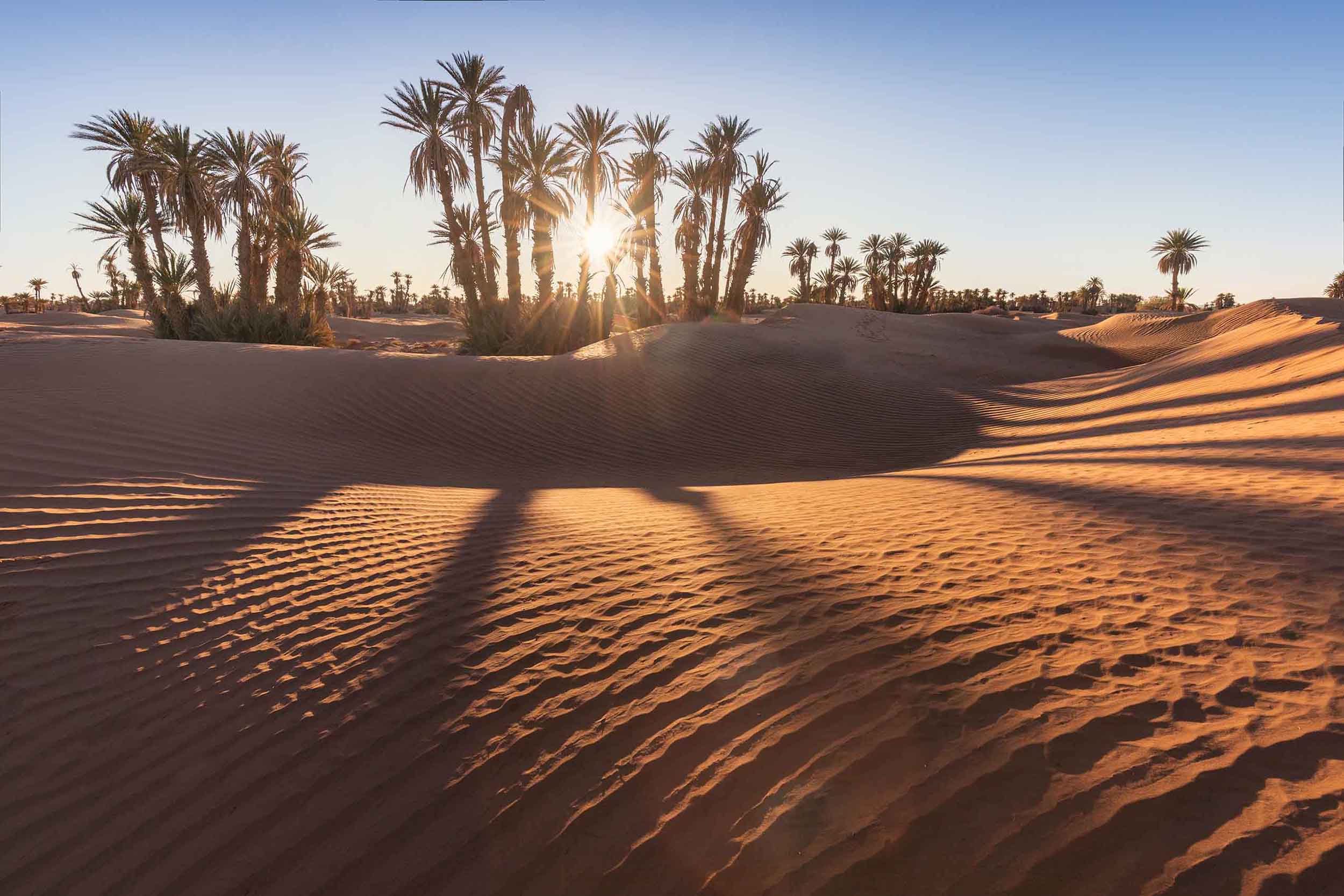 Le plus vaste désert chaud du monde.