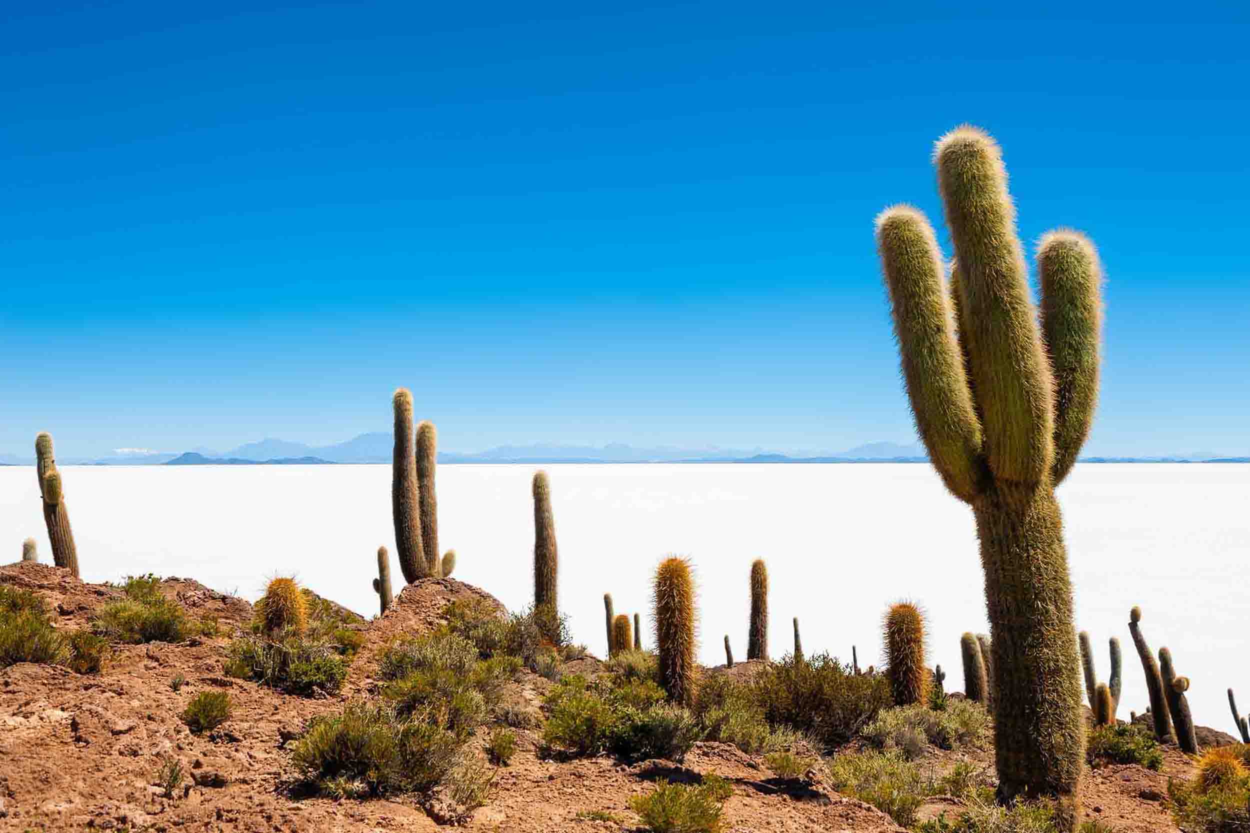 Le plus grand désert de sel au monde.